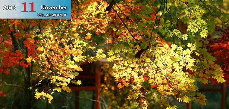 2013.11 November VOL.40 WEBZINE