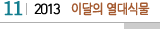 11 2013 이달의 열대식물