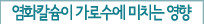 염화칼슘이 가로수에 미치는 영향