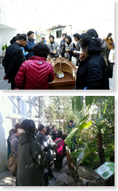 2013년 ‘열대식물을 활용한 원예교실’