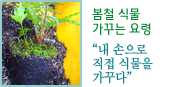 봄철식물 가꾸는 요령"내 손으로 직접 식물을 가꾸다"