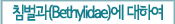 침벌과(Bethylidae)에 대하여