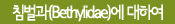 침벌과(Bethylidae)에 대하여