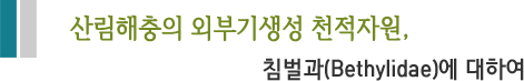 산림해충의 외부기생성 천적자원,침벌과(Bethylidae)에 대하여