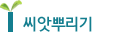 씨앗뿌리기