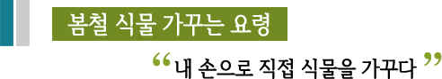봄철 식물 가꾸는 요령내 손으로 직접 식물을 가꾸다
