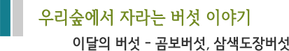 우리숲에서 자라는 버섯 이야기이달의 버섯 - 곰보버섯, 삼색도장버섯 
