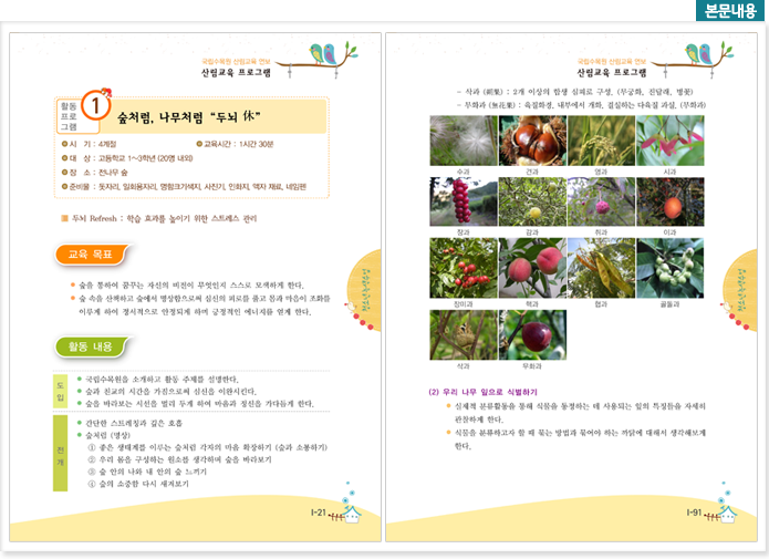 본문내용 산림교육 프로그램
