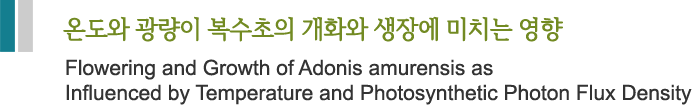 온도와 광량이 복수초의 개화와 생창에 미치는 영향 
Flowering and Growth of Adonis amurensis as Influenced by Temperature and Photosynthetic Photon Flux Density  