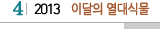 4 2013 이달의 열대식물