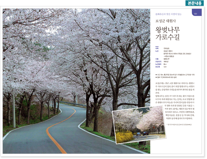 본문내용