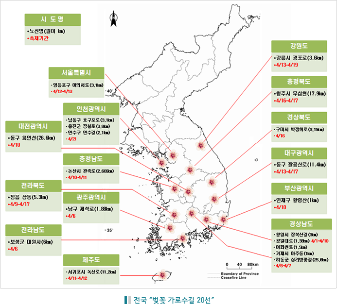 전국 벚꽃 가로수길 20선