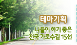 테마기획 나들이 하기 좋은 전국가로수길 15선
