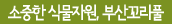 소중한 식물자원, 부산꼬리풀