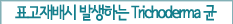 표고재배시 발생하는 Trichoderma 균