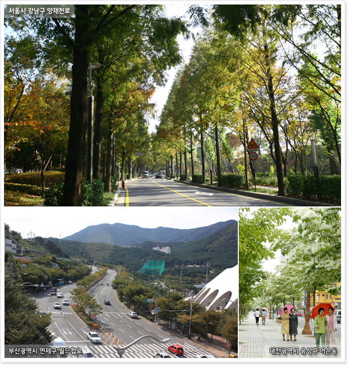 서울시 강남구 양재천로, 부산광역시 연재구 월드컵로, 대전광역시 유성구 어은동