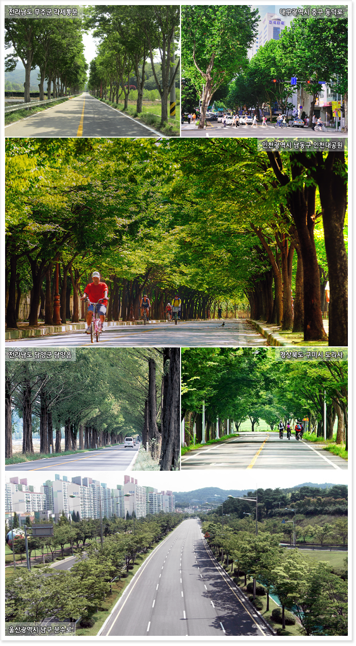 전라남도 무주군 라제통문, 대구광역시 중구 동덕로, 인천광역시 남동구 인천대공원, 전라남도 담양군 담양읍, 경상북도 구미시 도리사, 울산광역시 남구 문수로