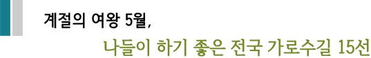 계절의 여왕 5월, 나들이 하기 좋은 전국 가로수길 15선