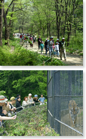 산림동물원 및 전나무 숲길