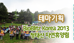 테마기획 BioBlitz Korea 2013청태산 자연휴양림