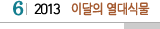 6 2013 이달의 열대식물