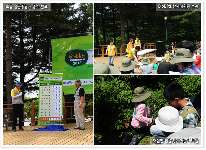 최종 생물종탐사 종수 발표, BioBlitz 탐사대원증 수여, 채집한 뱀을 방사하는 아이들