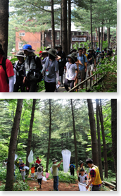 BioBlitz Korea 2013 - 제 4회 생물다양성 탐사 