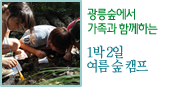광릉숲에서 가족과 함께하는 1박 2일 여름 숲 캠프