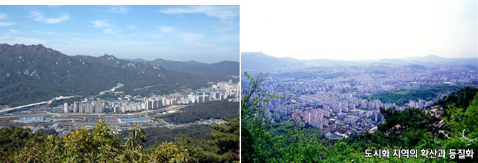 도시화 지역의 확산과 등질화