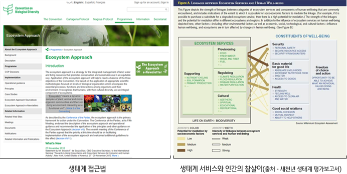 생태계 접근법, 생태계 서비스와 인간의 참살이(출처 - 새천년 생태계 평가 보고서)