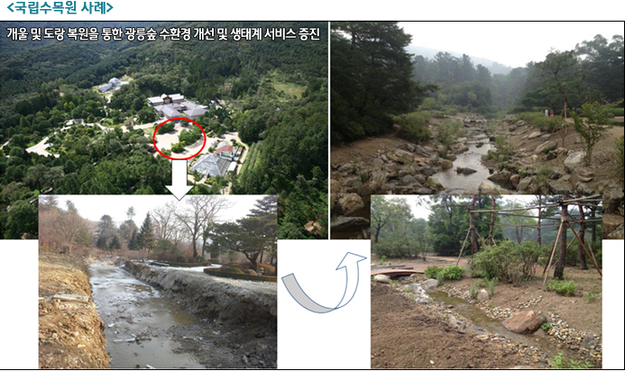 <국립수목원사례> 개울 및 도랑 복원을 통한 광릉숲 수환경 개선 및 생태계 서비스 증진