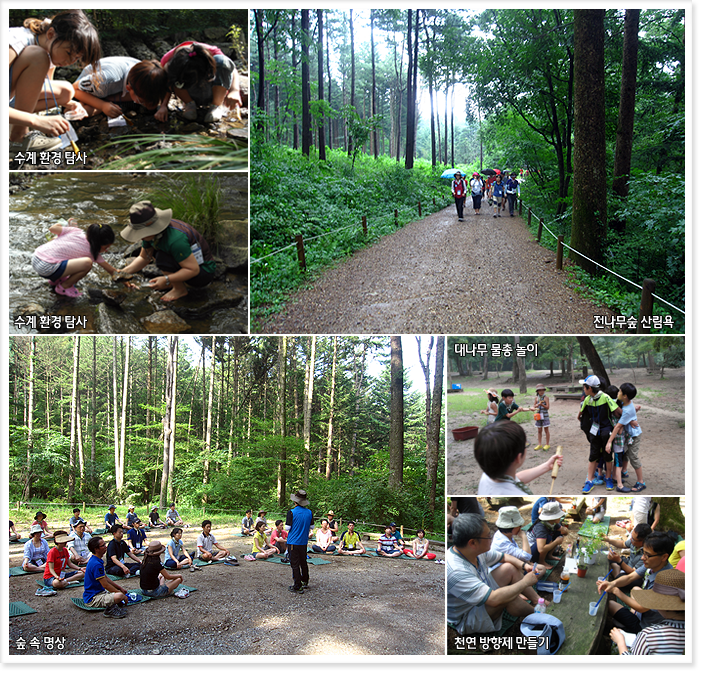 수계환경탐사1, 수계환경탐사2, 전나무숲 산림욕, 숲속 명상, 대나무 물총 놀이, 천연방향제 만들기