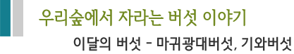 우리숲에서 자라는 버섯 이야기 이달의 버섯 - 마귀광대버섯, 기와버섯