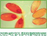 건강한 씨앗 알기, 종자의 활력검정 방법