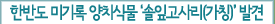 한반도 미기록 양치식물 ‘솔잎고사리(가칭)’발견
