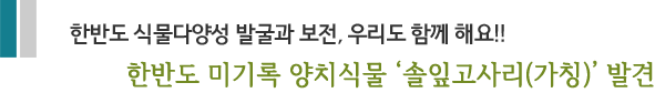 한반도 식물다양성 발굴과 보전, 우리도 함께 해요!! 한반도 미기록 양치식물 '솔잎고사리(가칭)' 발견