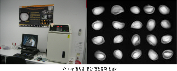 <X-ray 검정을 통한 건전종자 선별>