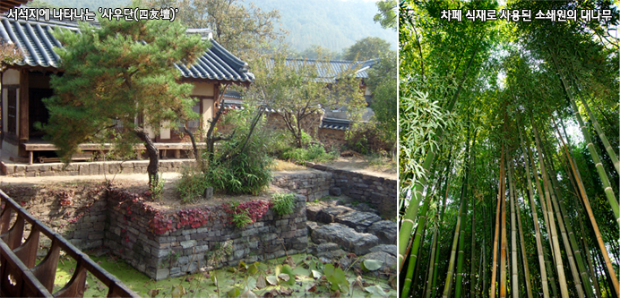 서석지에 나타나는 ‘사우단(四友壇)’, 차폐식재로 사용된 소쇄원의 대나무