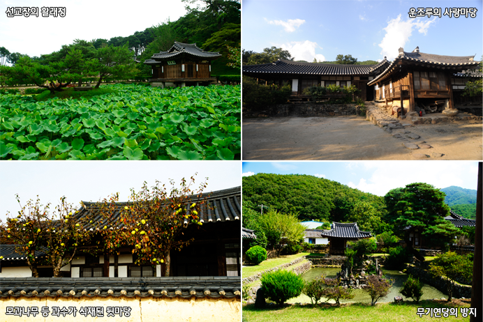 선교장의 활래청, 운조루의 사랑마당, 모과나무 등 과수가 식재된 뒷마당, 무기현당의 방지