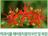 희귀식물 제비동자꽃의 보전 및 복원