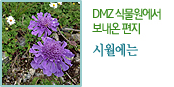 DMZ 식물원에서 보내온 편지 시월에는