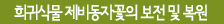 희귀식물 제비동자꽃의 보전 및 복원