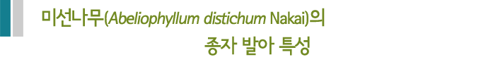 미선나무(Abeliophyllum distichum Nakai)의 종자 발아 특성