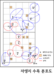 자생지 수목 분포도