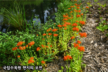 국립수목원 현지외 보전