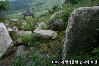 DMZ 자생식물원 현지외 보전