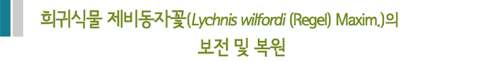희귀식물 제비동자꽃(Lychnis wilfordi (Regel) Maxim.)의 보전 및 복원