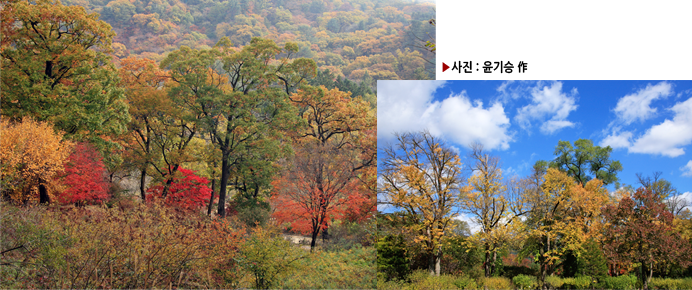 사진 : 윤기승 作