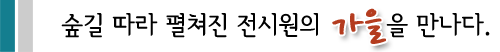 숲길 따라 펼쳐진 전시원의 가을을 만나다.