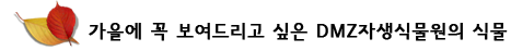 가을에 꼭 보여드리고 싶은 DMZ자생식물원의 식물